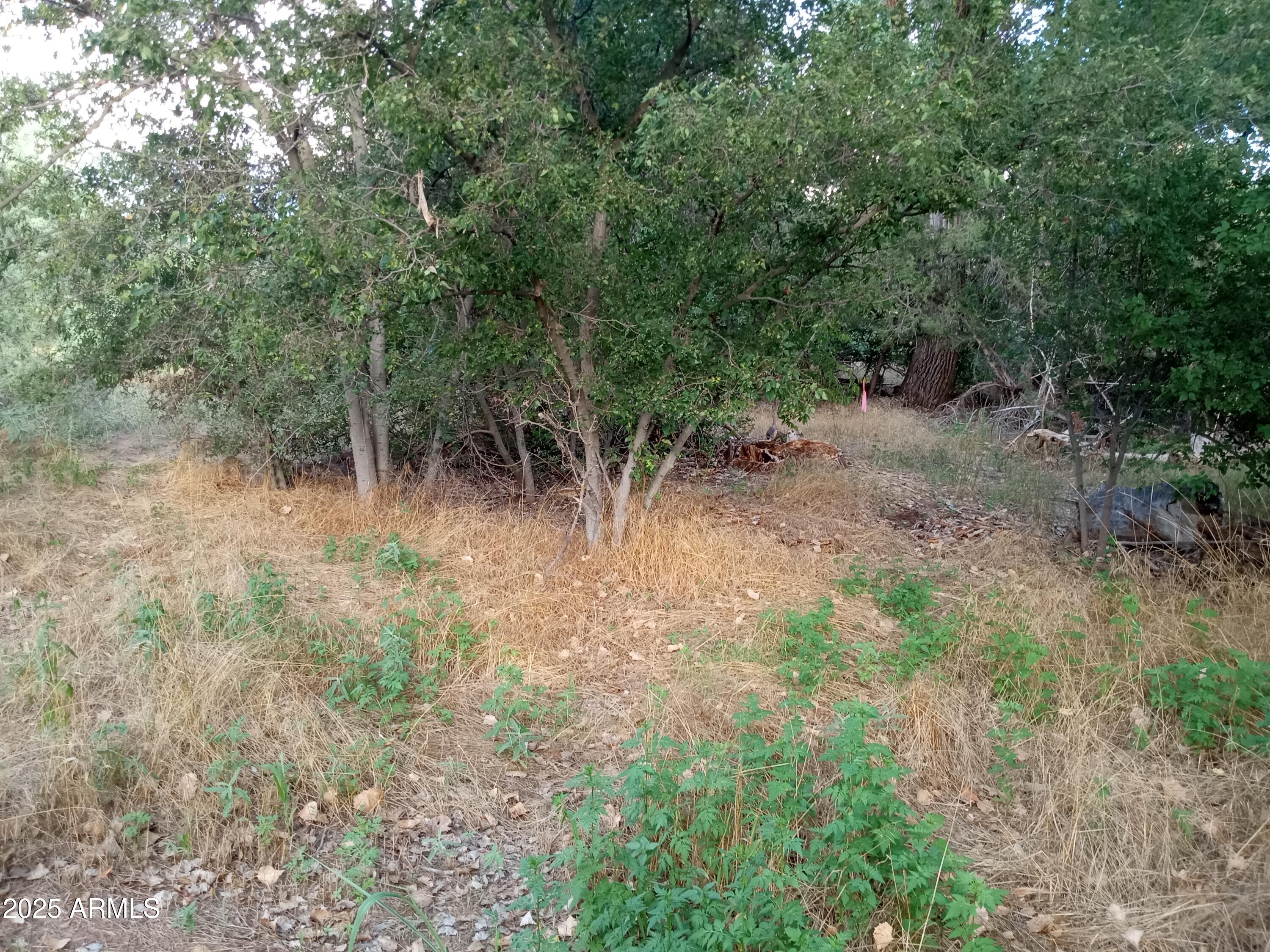 3077 S WAGNER Drive 529