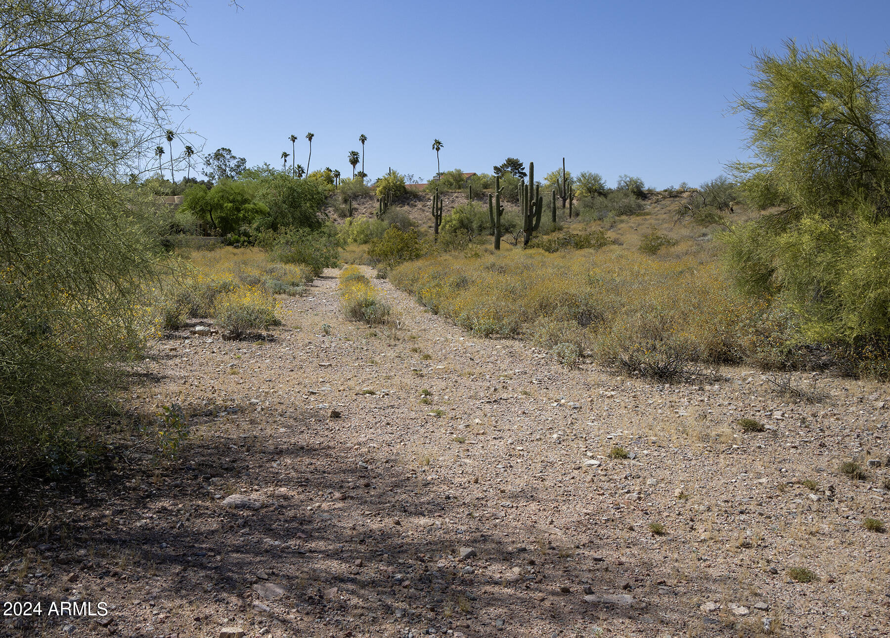 11008 N Appian Way 1A