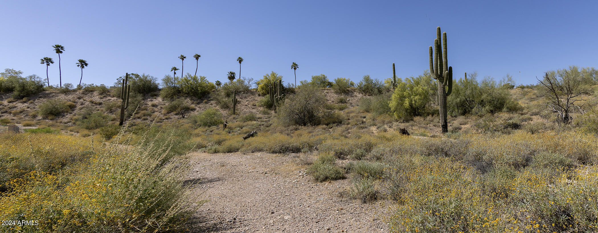 11008 N Appian Way 1A