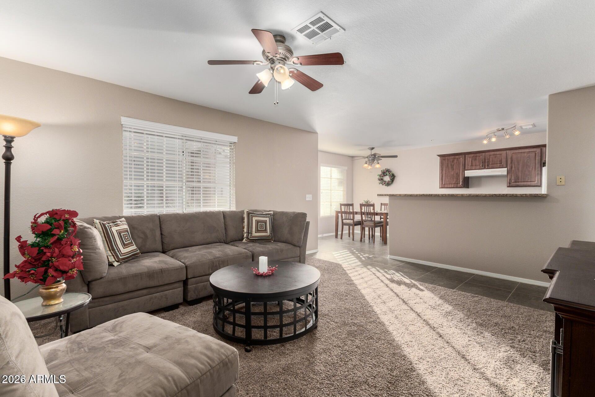 255 S KYRENE Road 133