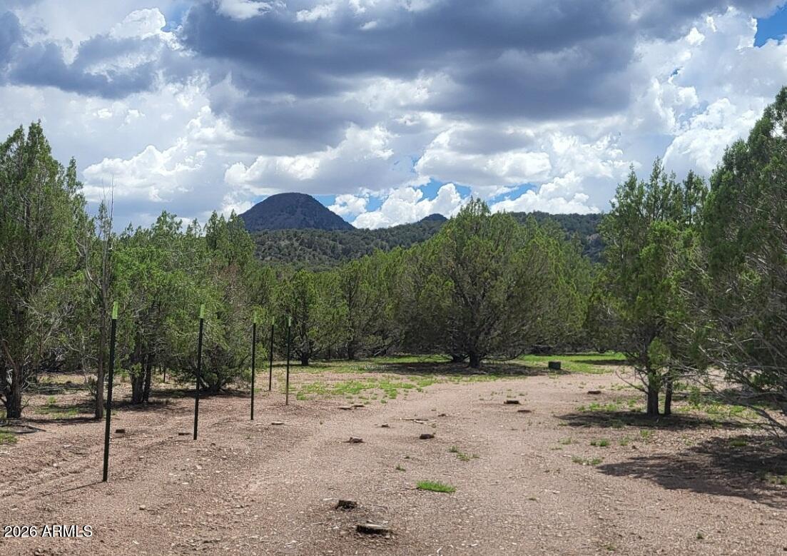 111 N Ranch Road 111