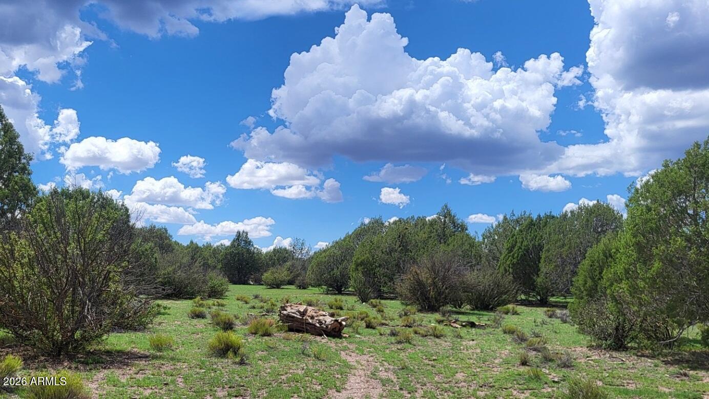 111 N Ranch Road 111