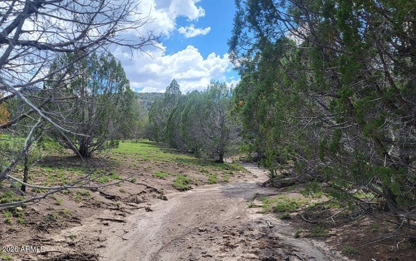RANCH RD, ASH FORK, AZ 86320 - Image 51989eca94e90e47cdfd09926ecc4dc9/2992990576