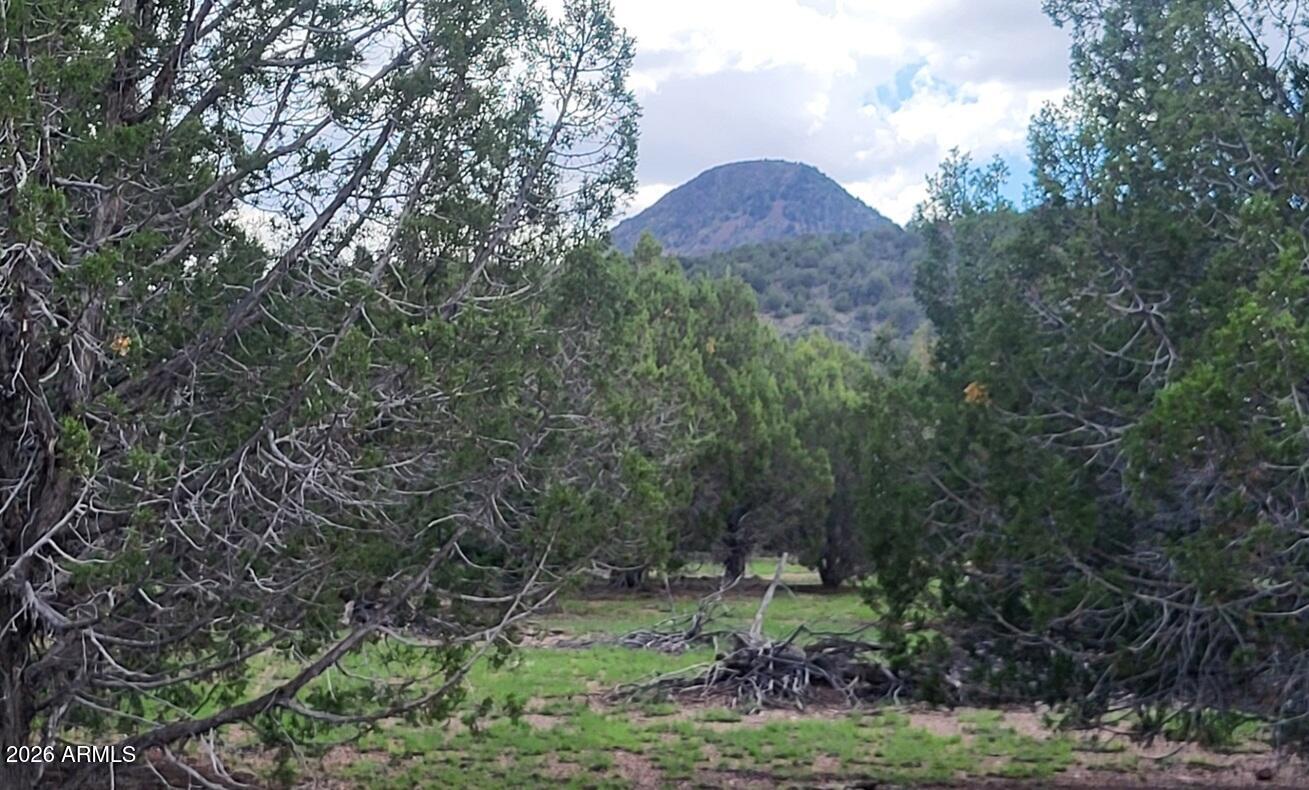 111 N Ranch Road 111