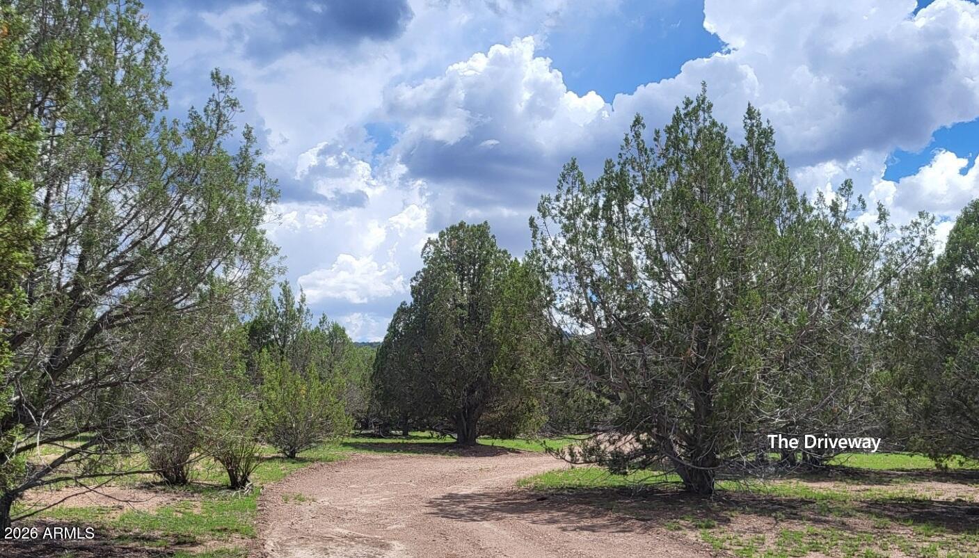 111 N Ranch Road 111