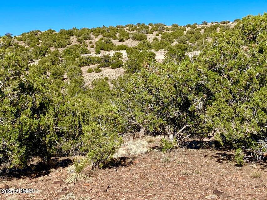 TBD Co Rd 5062 Lot 1 3.53 Acres -- -