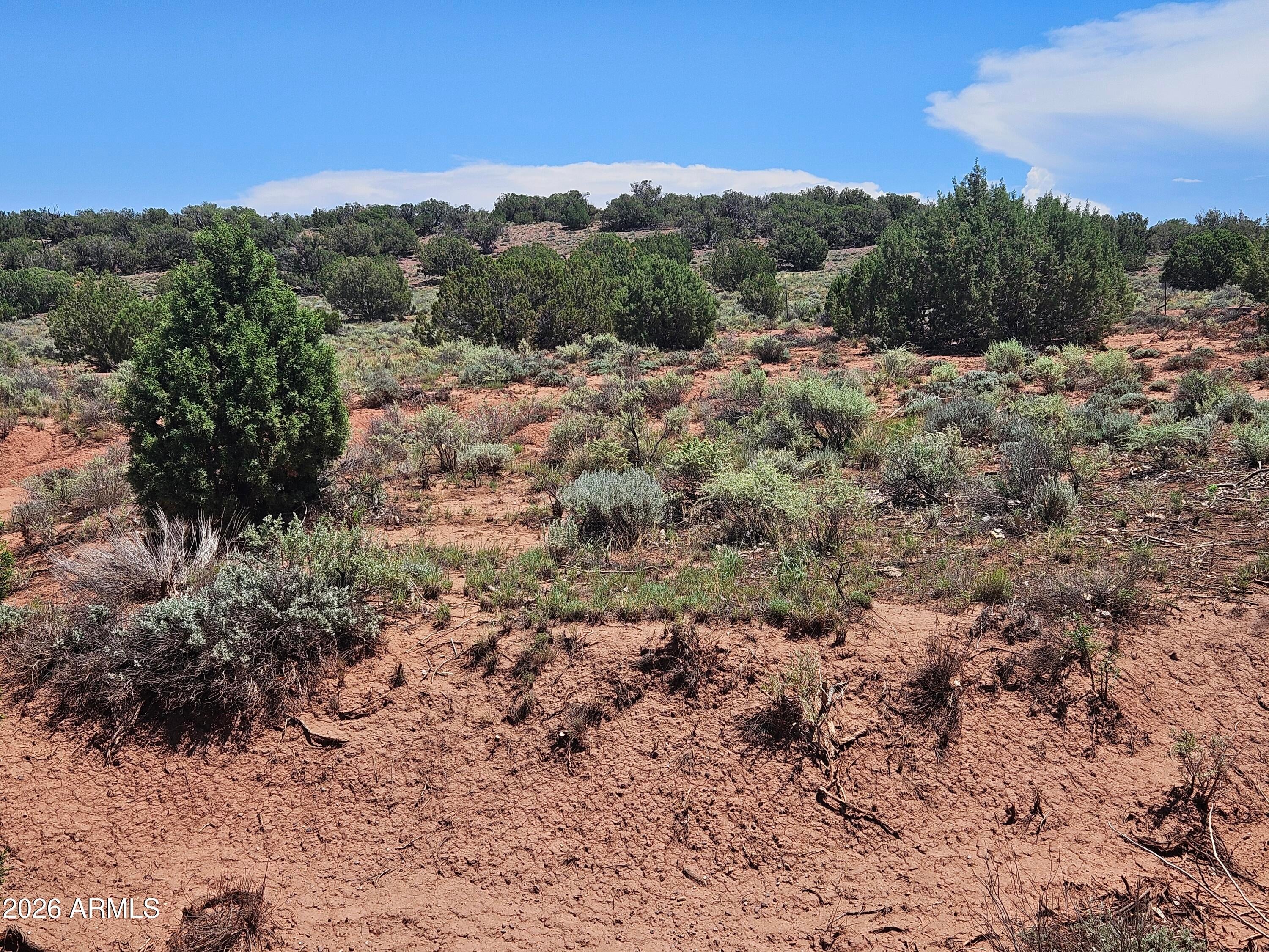 3981 APACHE Road -