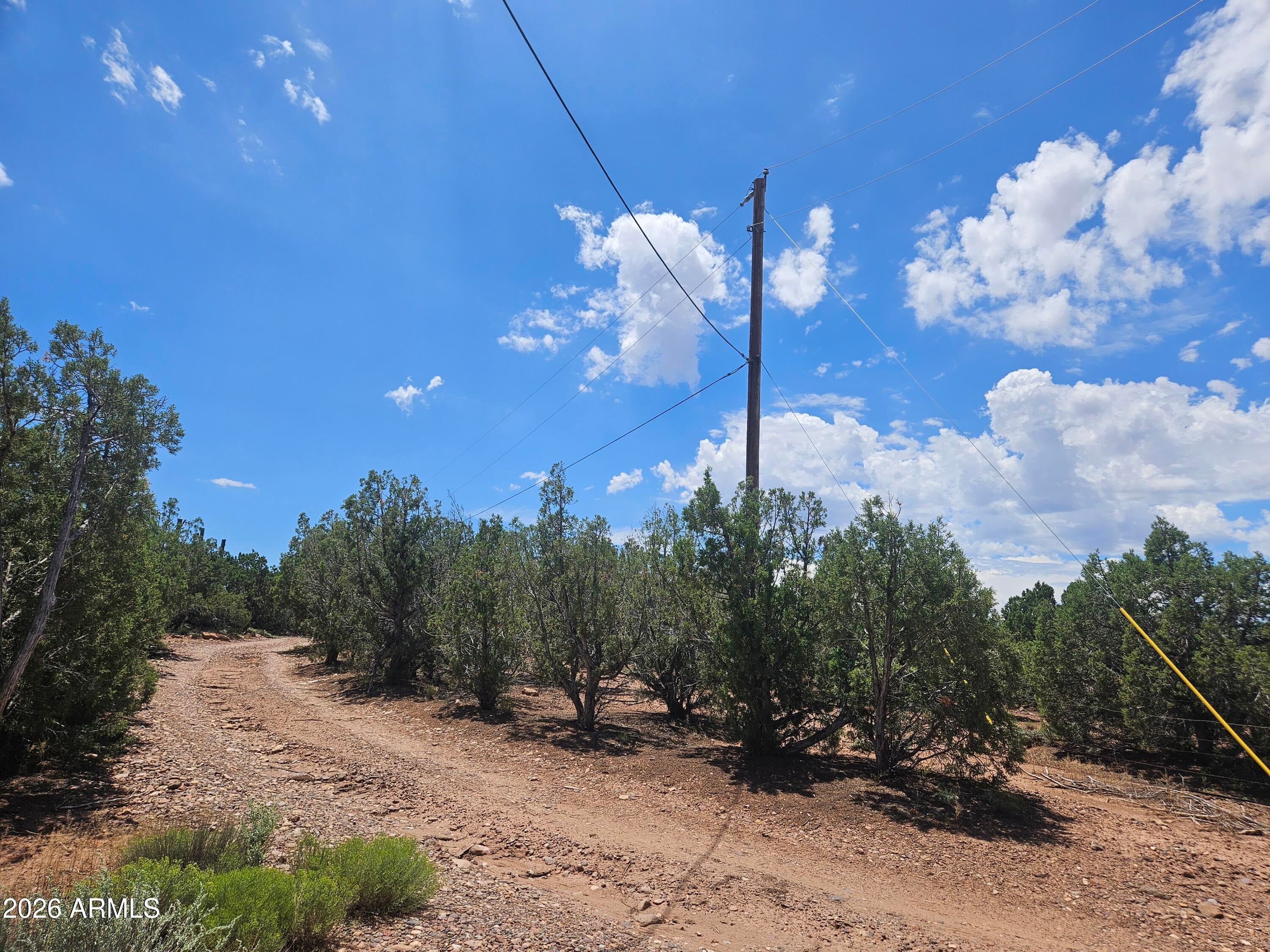 3981 APACHE Road -