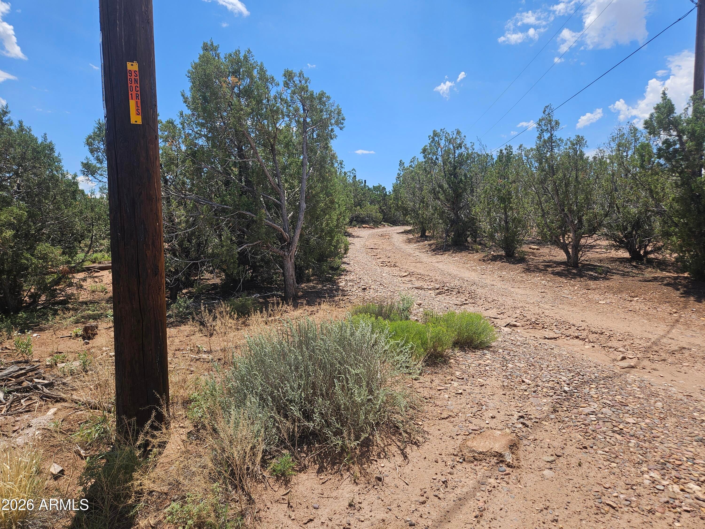 3981 APACHE Road -