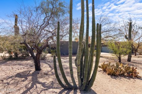 A home in Paradise Valley