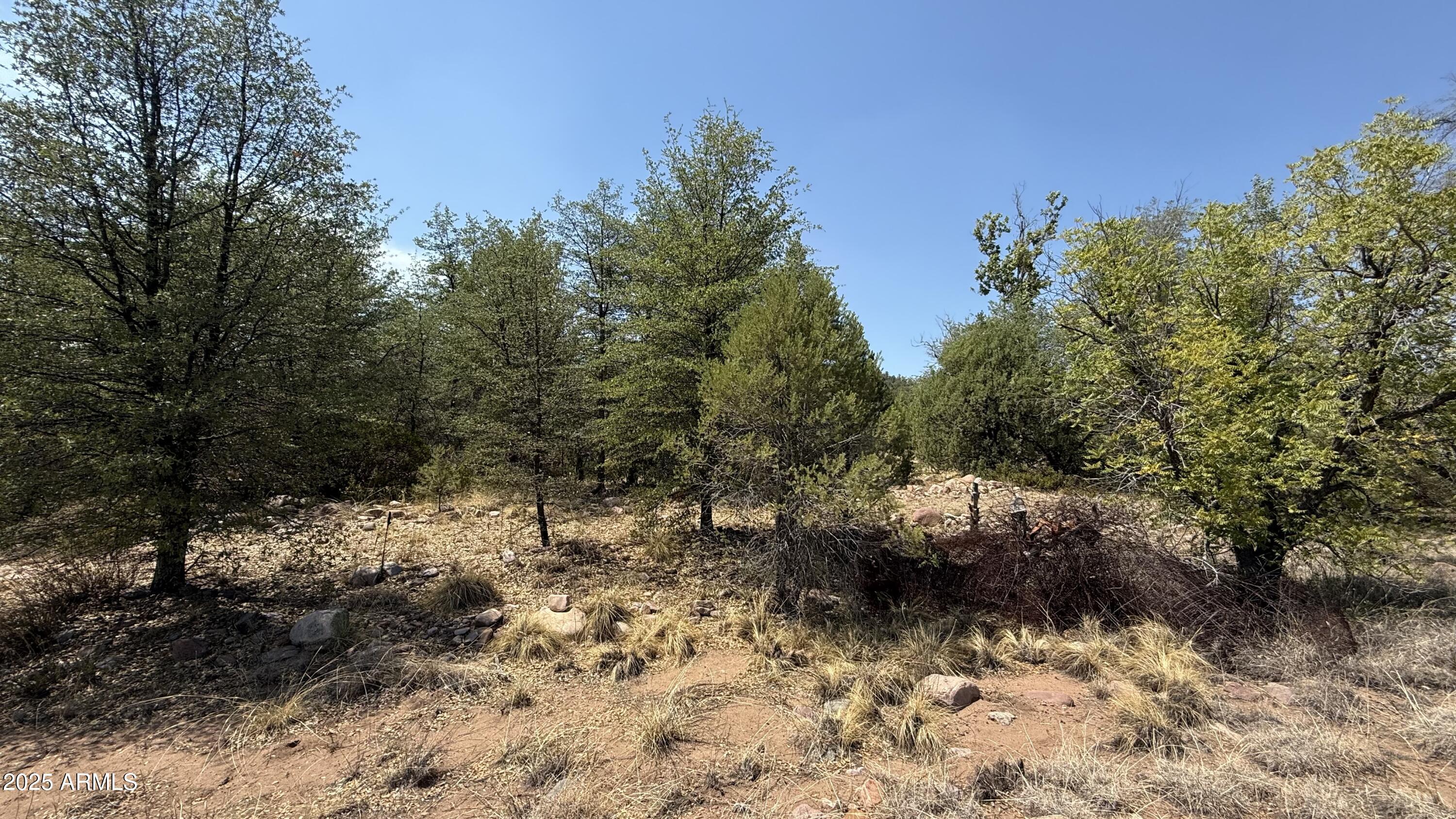 281 E Cline Crossing C1-A