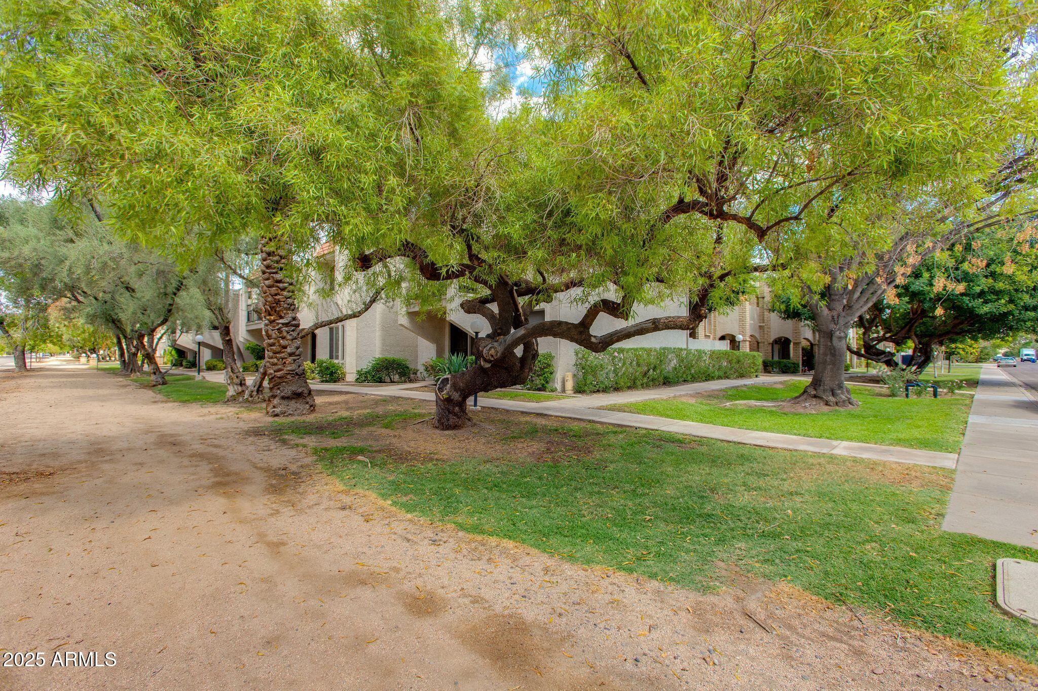 8225 N CENTRAL Avenue 9