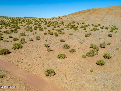 TBD Co Rd 5106 Lot #1 1.1 Acres -- - Concho AZ 85924