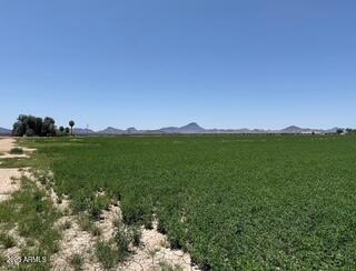 0 W Desert Rose Road -