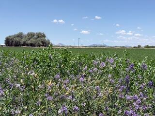 0 W Desert Rose Road -