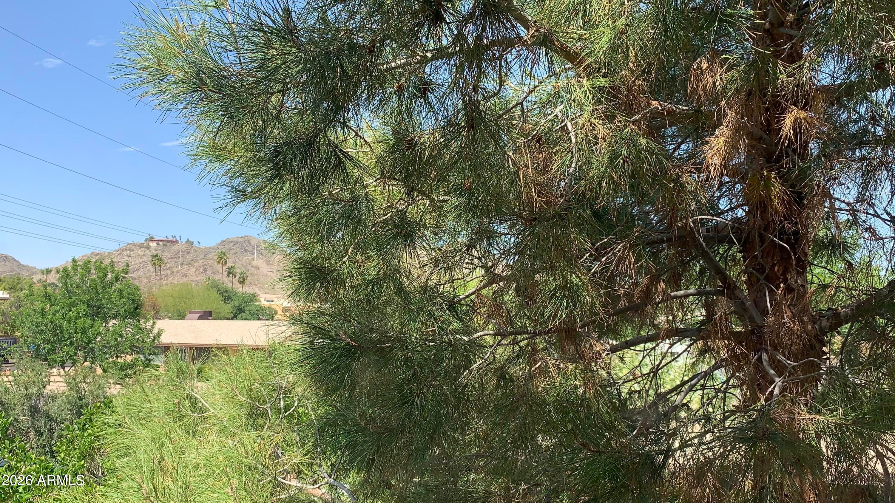 10410 N CAVE CREEK Road 2100