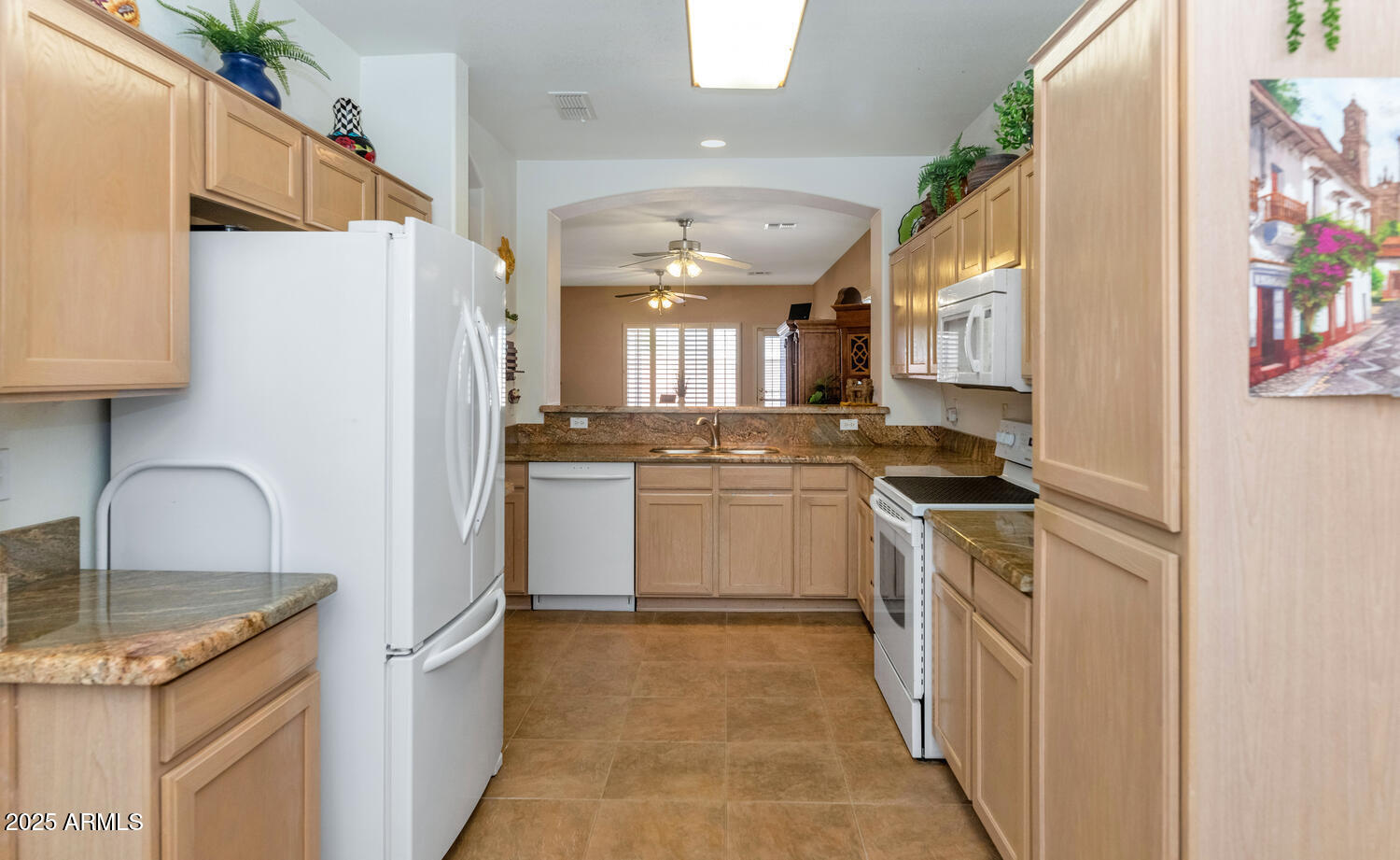 19860 N 110TH Lane
