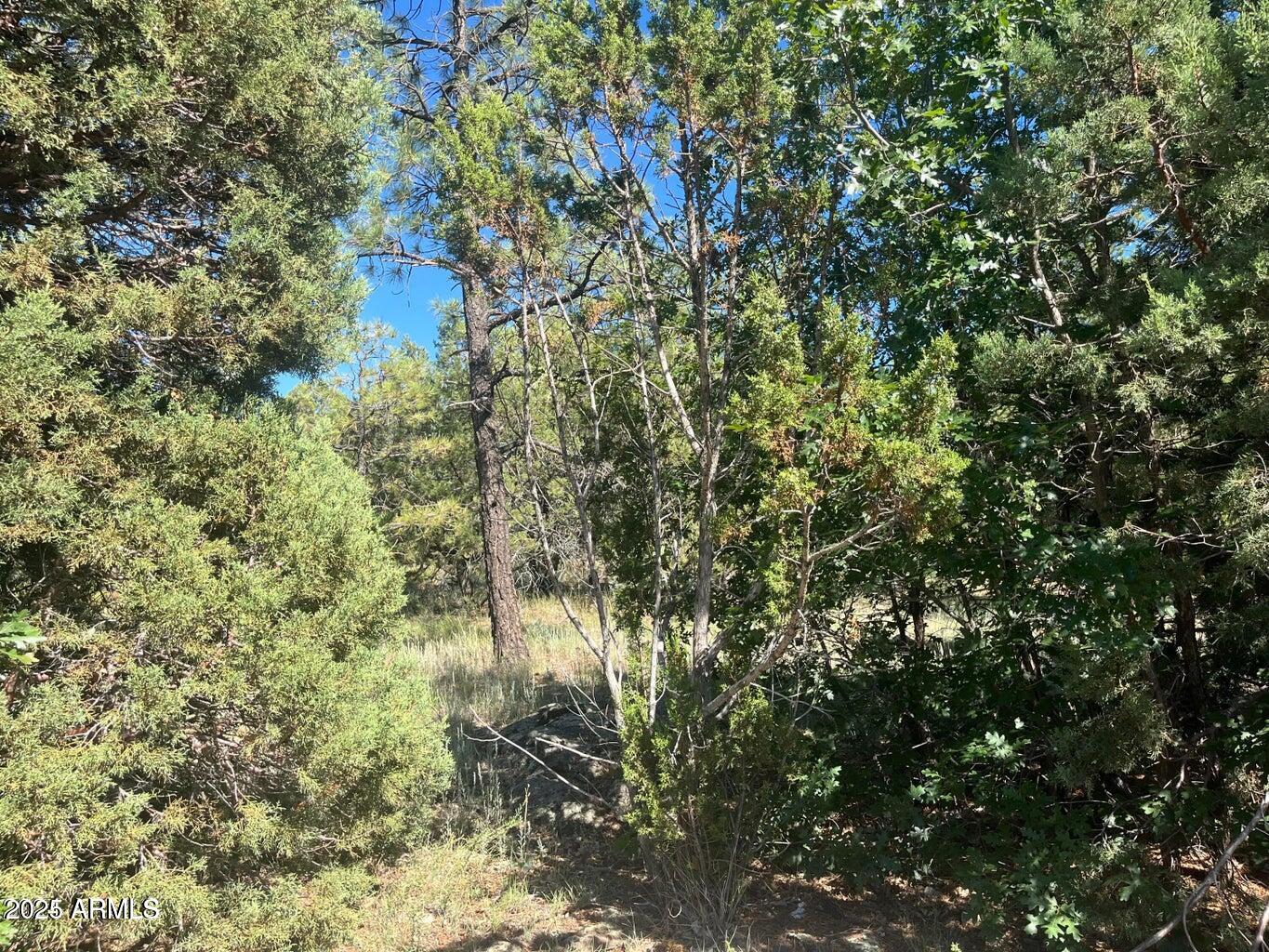 5020 BISON Trail 34 & 35