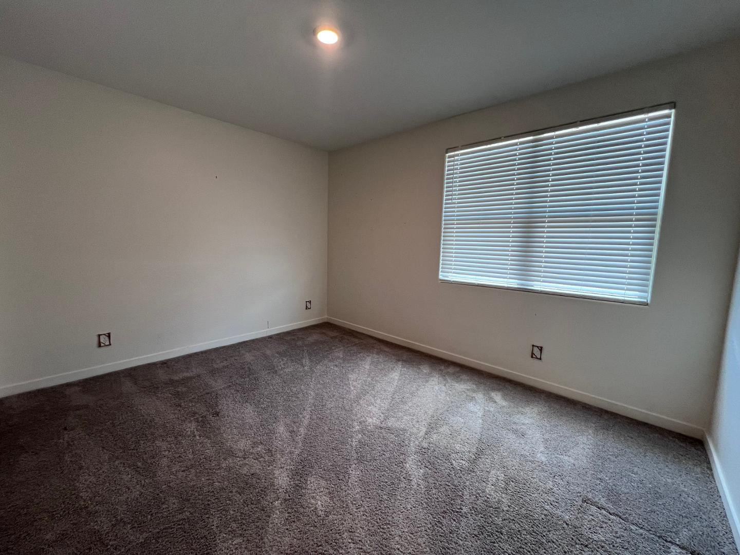 1152 E Newland Drive