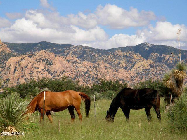 DRAGOON MOUNTAIN RANCH 2 - Land