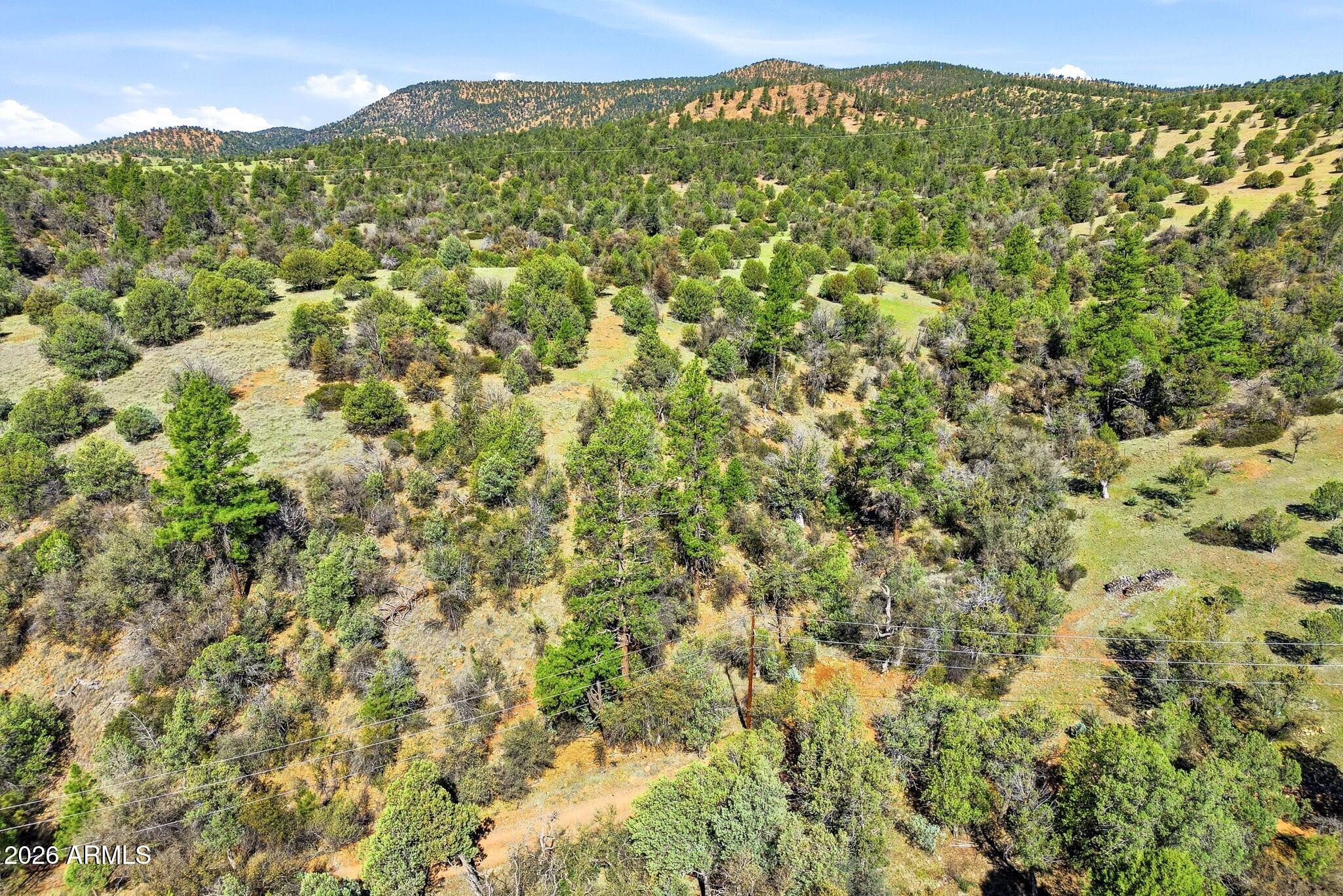 7C Elk Song Trl -- 7,28