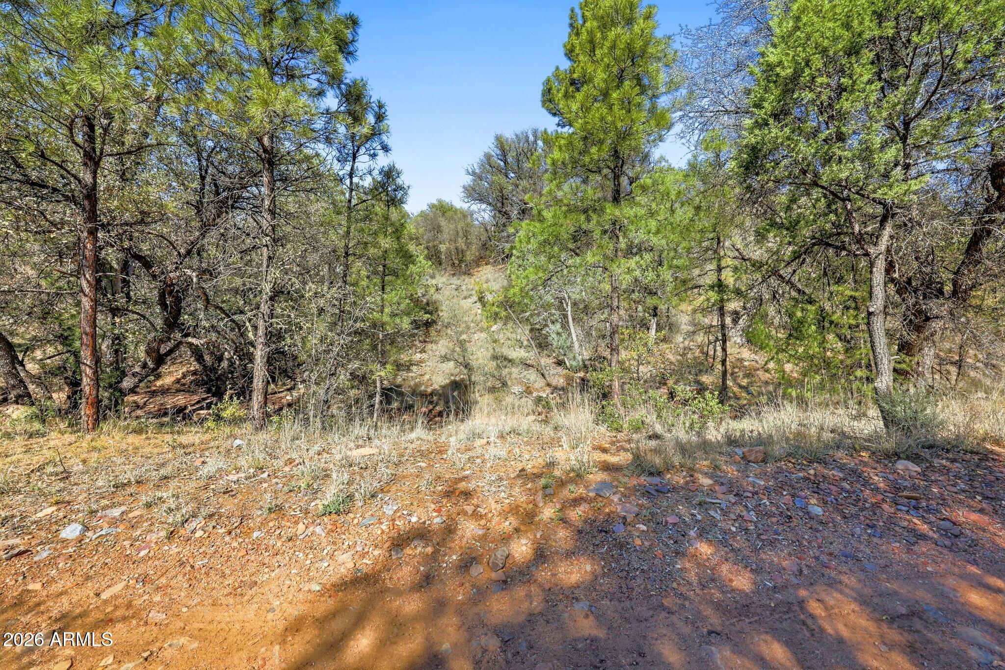 7C Elk Song Trl -- 7,28