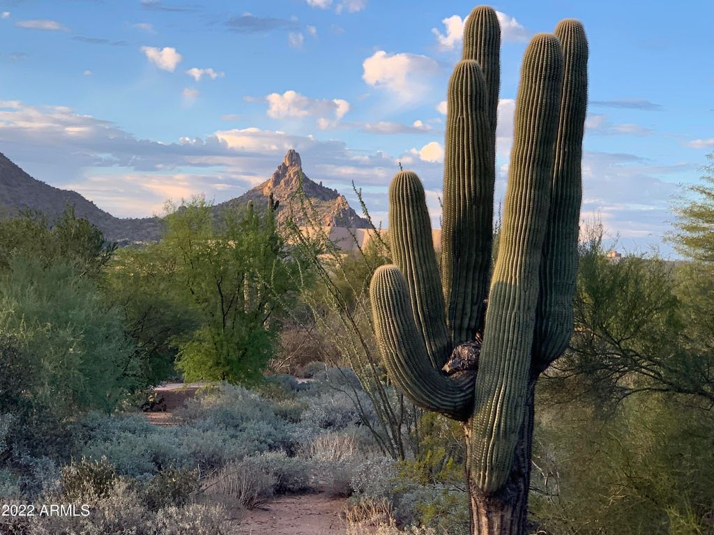 Photo of 10590 E Pinnacle Peak Road #5, Scottsdale, AZ 85255 (MLS # 6751417)