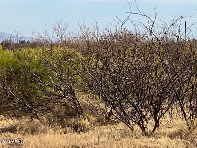 TBD W No Name off Acorn  40 Ac's -- 25