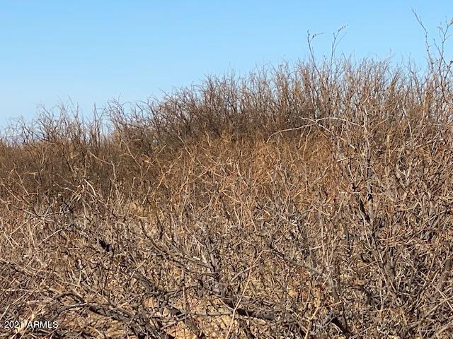 TBD W No Name off Acorn  40 Ac's -- 25