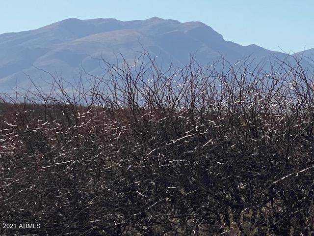 TBD W No Name off Acorn  40 Ac's -- 25