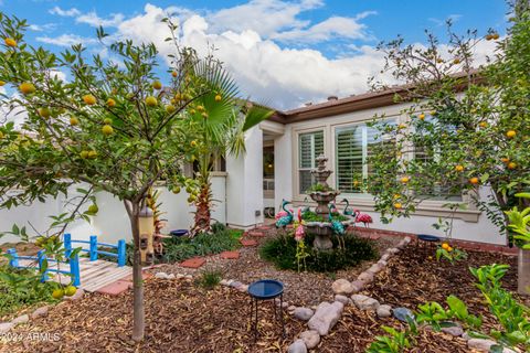 A home in Queen Creek