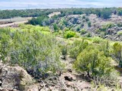 1922 Creekside Circle - Show Low AZ 85901