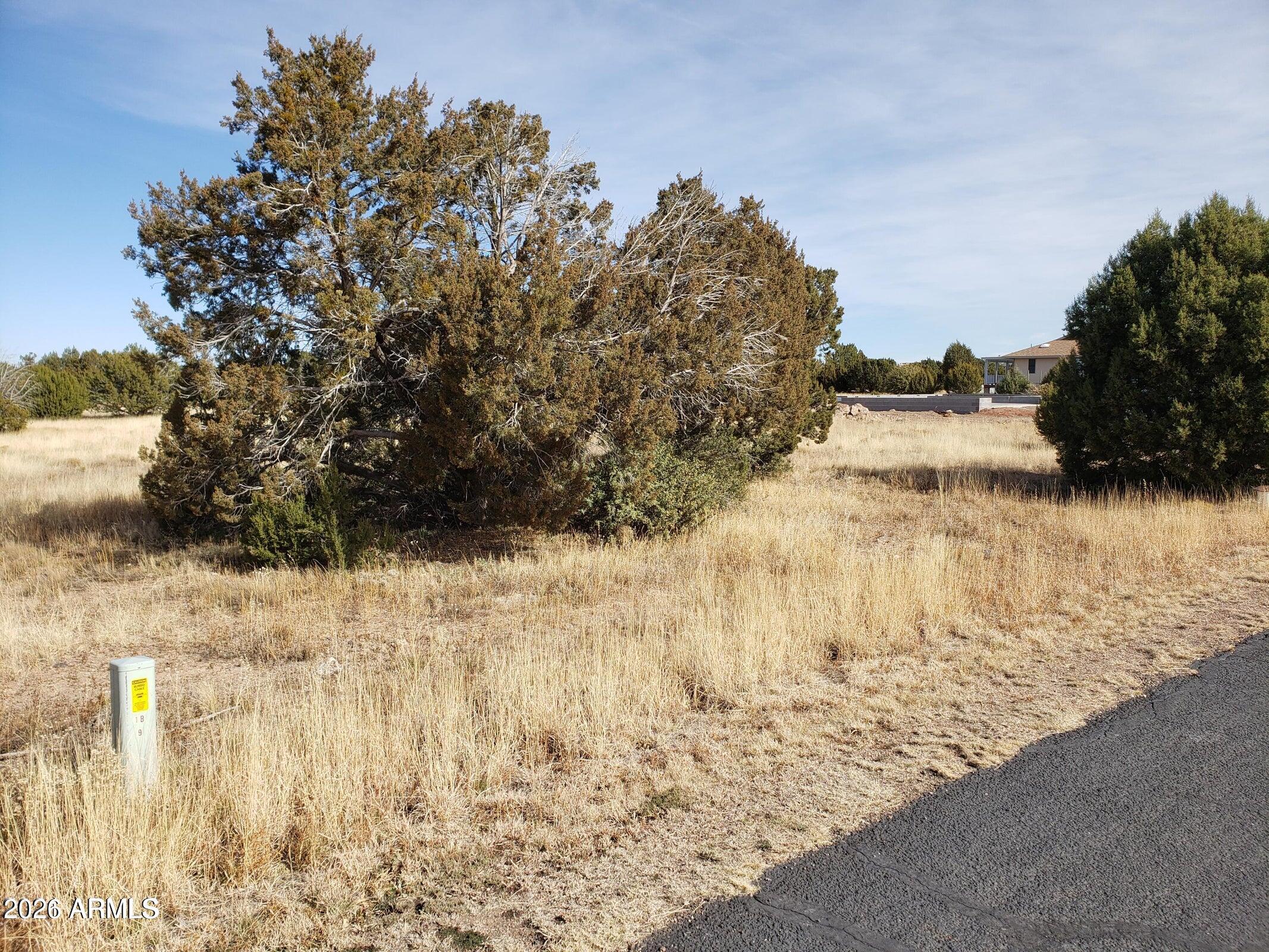 WHITE MOUNTAIN LAKES UNIT 1 - Land