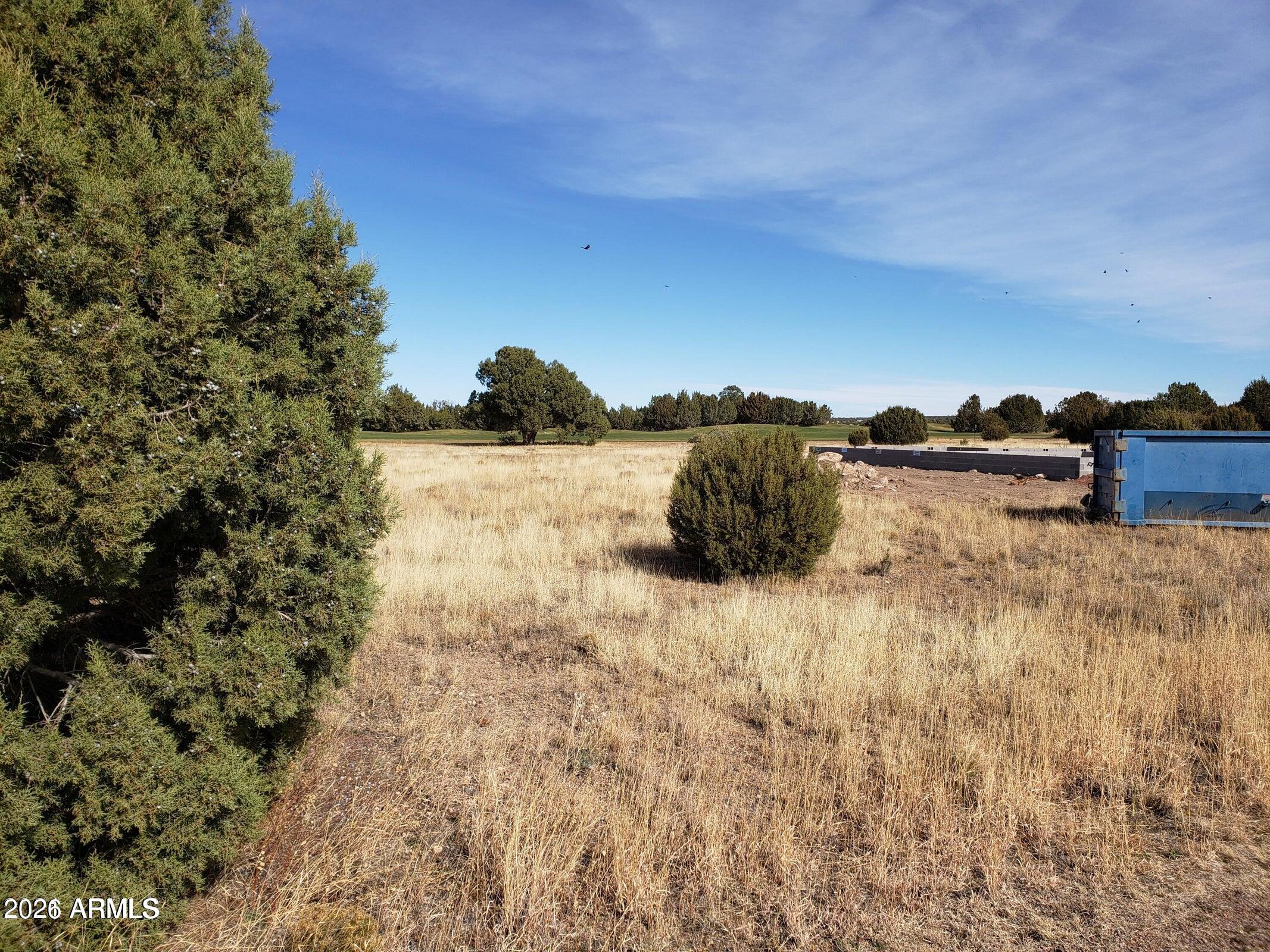 WHITE MOUNTAIN LAKES UNIT 1 - Land