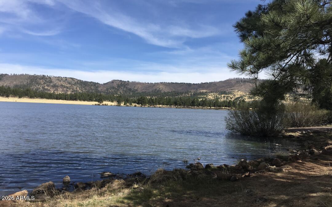 WHITE MOUNTAIN LAKES UNIT 1 - Land