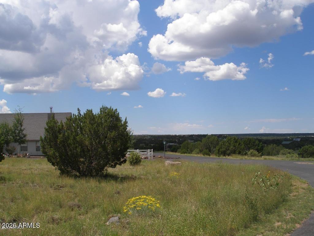 WHITE MOUNTAIN LAKES UNIT 1 - Land