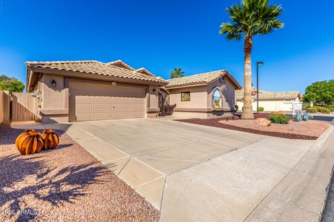 14302 W Shawnee Trail Surprise AZ 85374