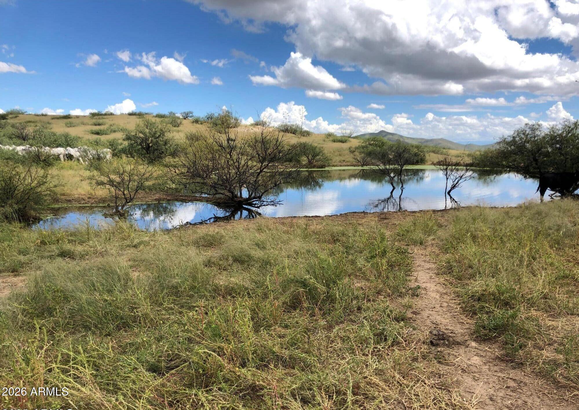 TBD E Walker Ranch Road '-'