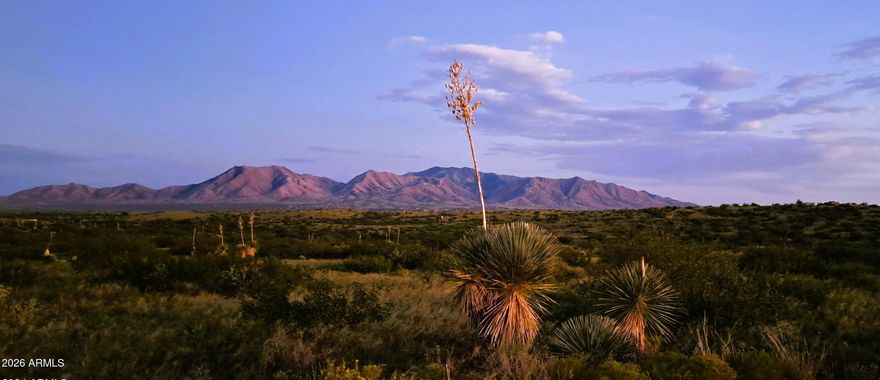 This unique Arizona ranch is tucked away in the seclusion of coveted Texas Canyon, located in Cochise County. The 40-acre parcel sits at the base of the Little Dragoon Mountains at 4800 feet and is surrounded by Arizona state land, ensuring privacy and endless horseback riding and mountain biking. The property has quick and easy access to exit 322 on Interstate 10. Only a blissful 1.3-mile drive on well-maintained county roads.  This high desert ranch is 15 minutes to a Super Walmart, Safeway in Benson and close to the best of AZ's tourist destinations like Tombstone, Bisbee, Willcox, Whitewater Draw, Cochise Stronghold and the fabulous Chiricahua National Monument.  Better yet- it is only a one-hour drive to Tucson and the airport for those city dwellers craving a piece of some of some of the West's most scenic and iconic geography. In 2018 a registered well was added that produces 800 gallons of potable water a day. In addition to the well, there are surface rights for a year-round collection pond for the wildlife. The deed to the ranch includes a patented Tungsten King mining claim dating back to 1917.  The property includes all mineral, ore and oil rights.  Additionally, there is a right-of-way from the county road to the property in place through the Arizona Land Department, providing full legal and physical access. The 1997 movie, Buffalo Soldiers, was filmed in the canyon.