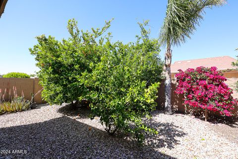 A home in Sun Lakes