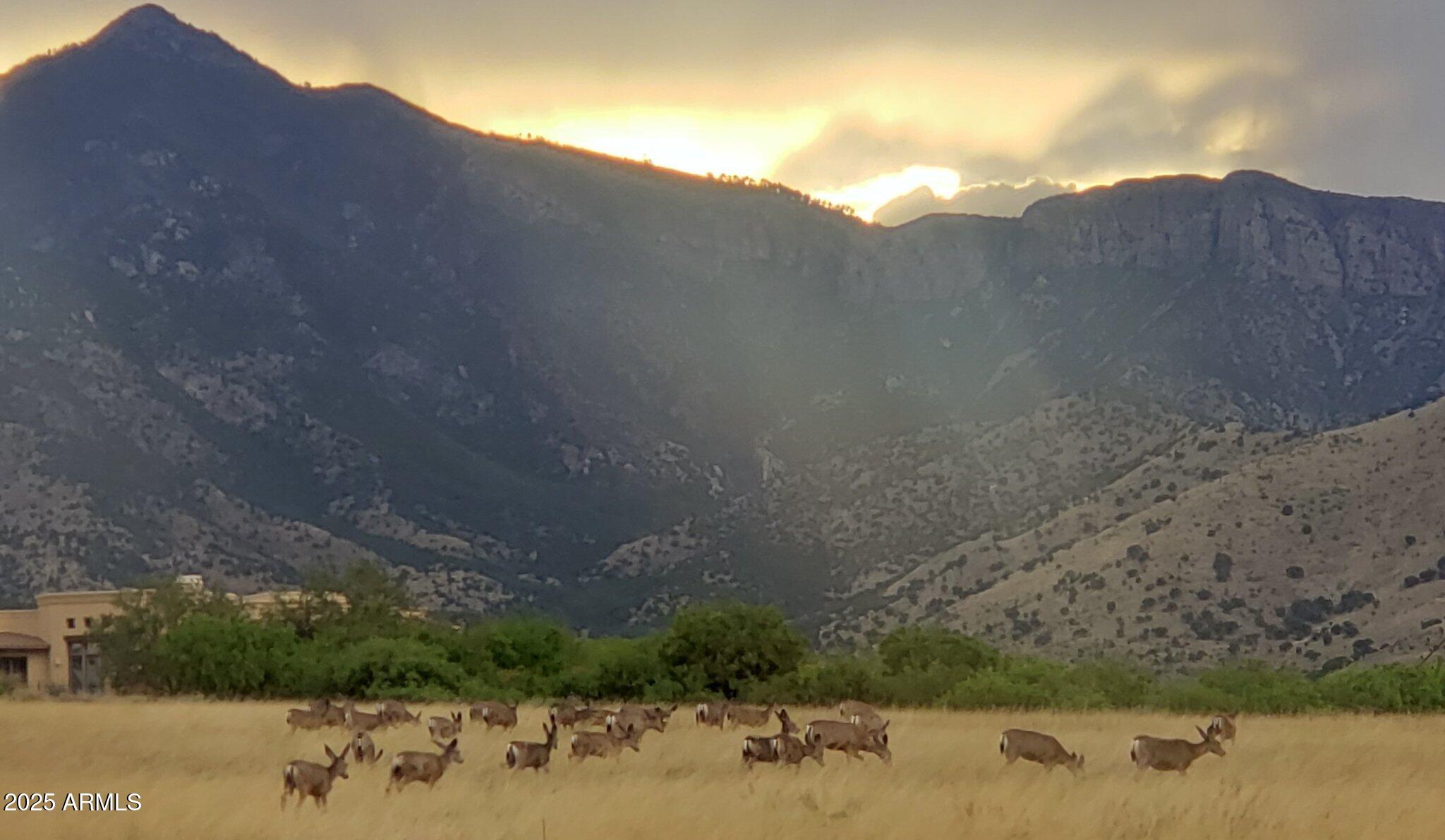 WILD HORSE 2 - Residential