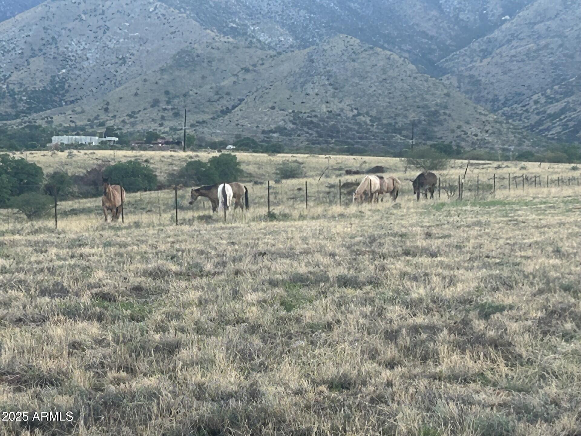 WILD HORSE 2 - Residential