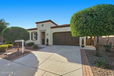 1435 E ARTEMIS Trail Queen Creek AZ 85140