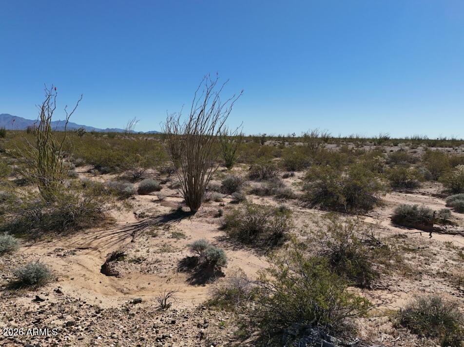 LAKE HAVASU RANCHOS UNIT 1 - Land