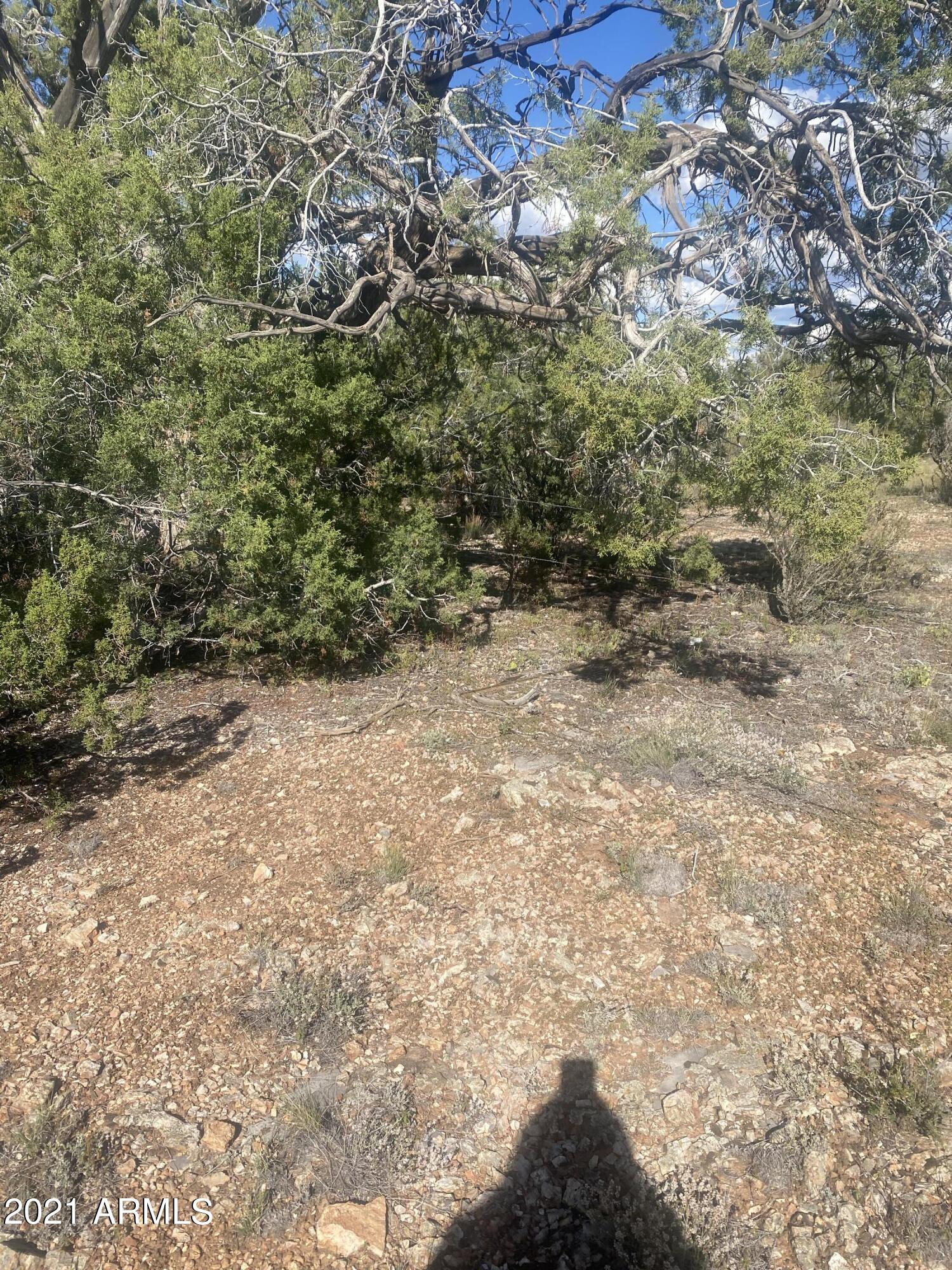 34720 W LA PLANCHA Parkway 5140