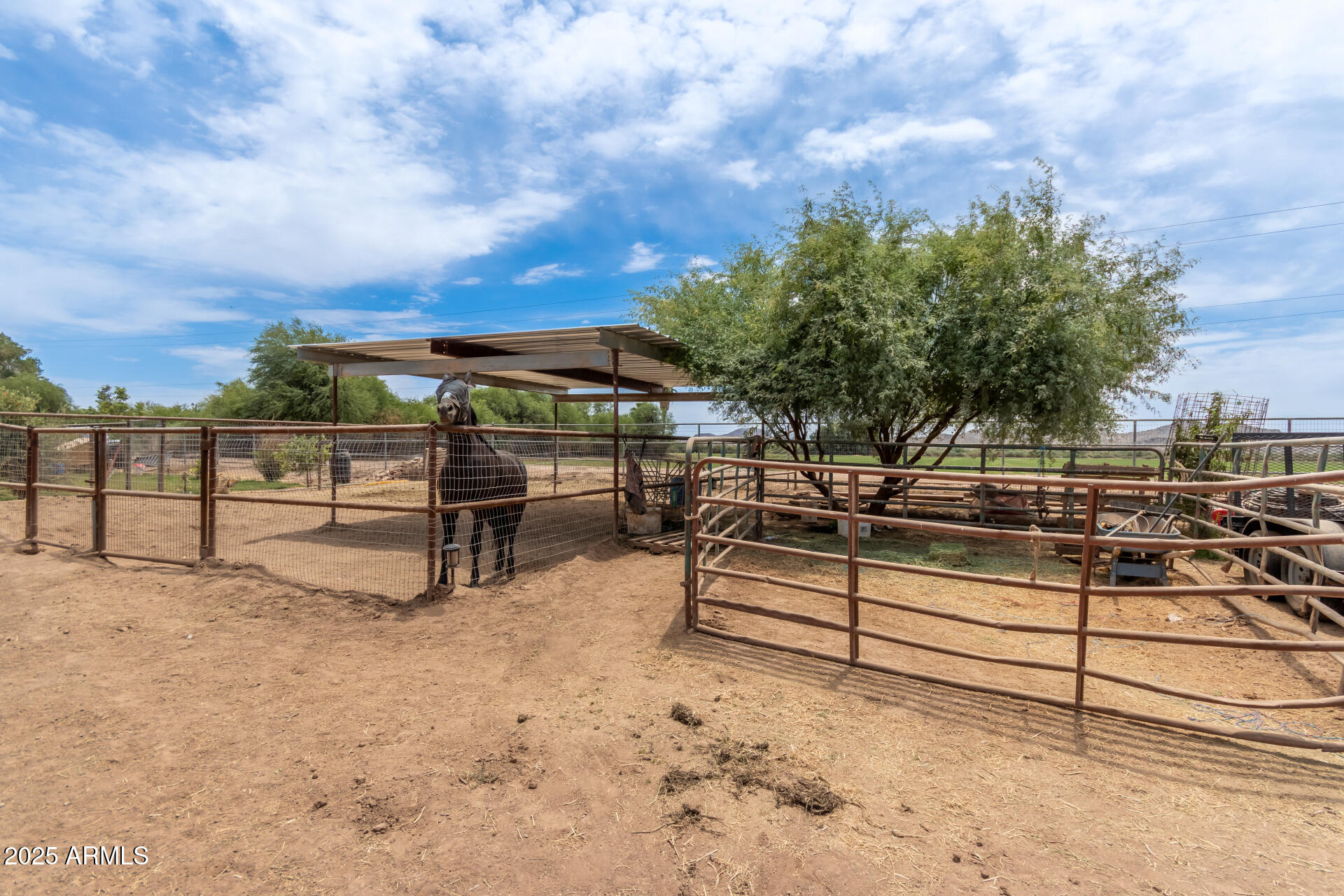 WHITE FENCE FARMS - Residential