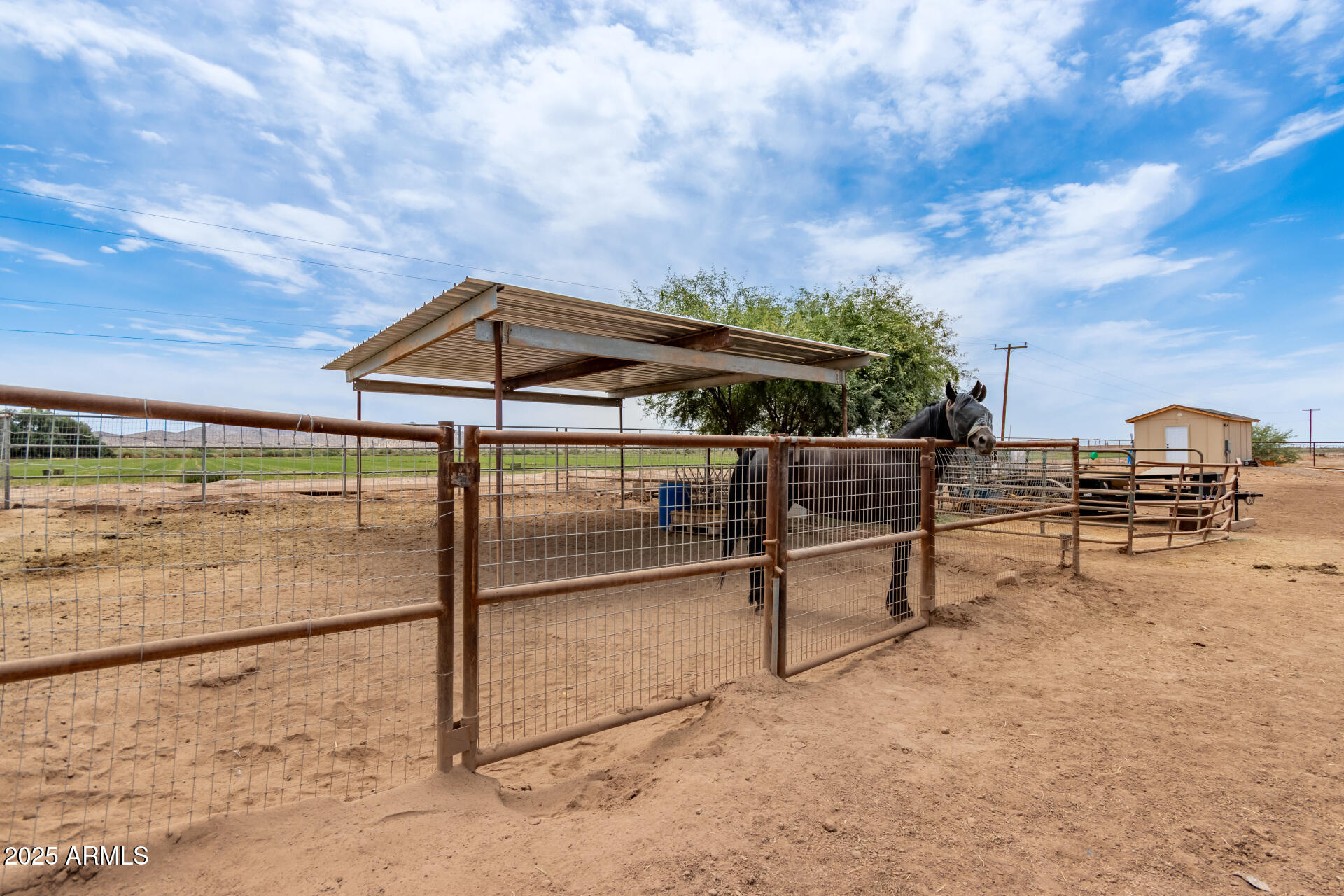 WHITE FENCE FARMS - Residential