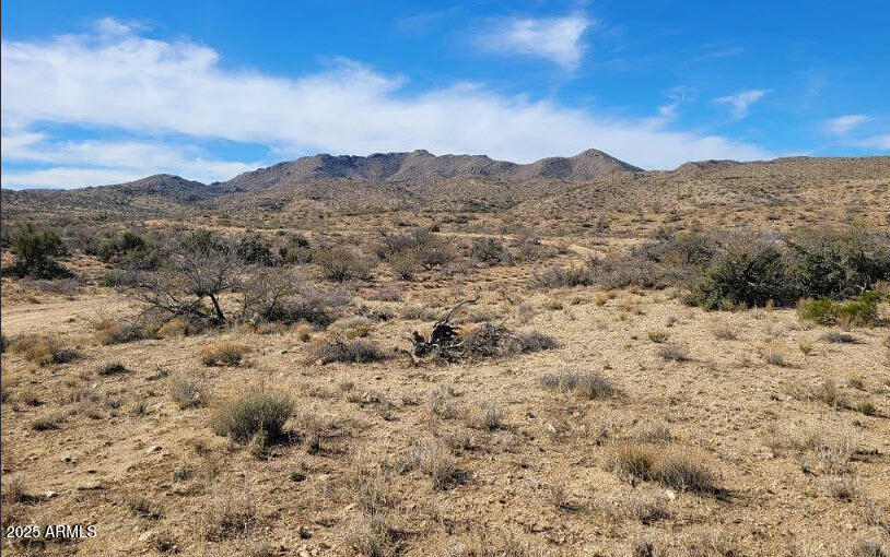 XXXX W Trezler Road -