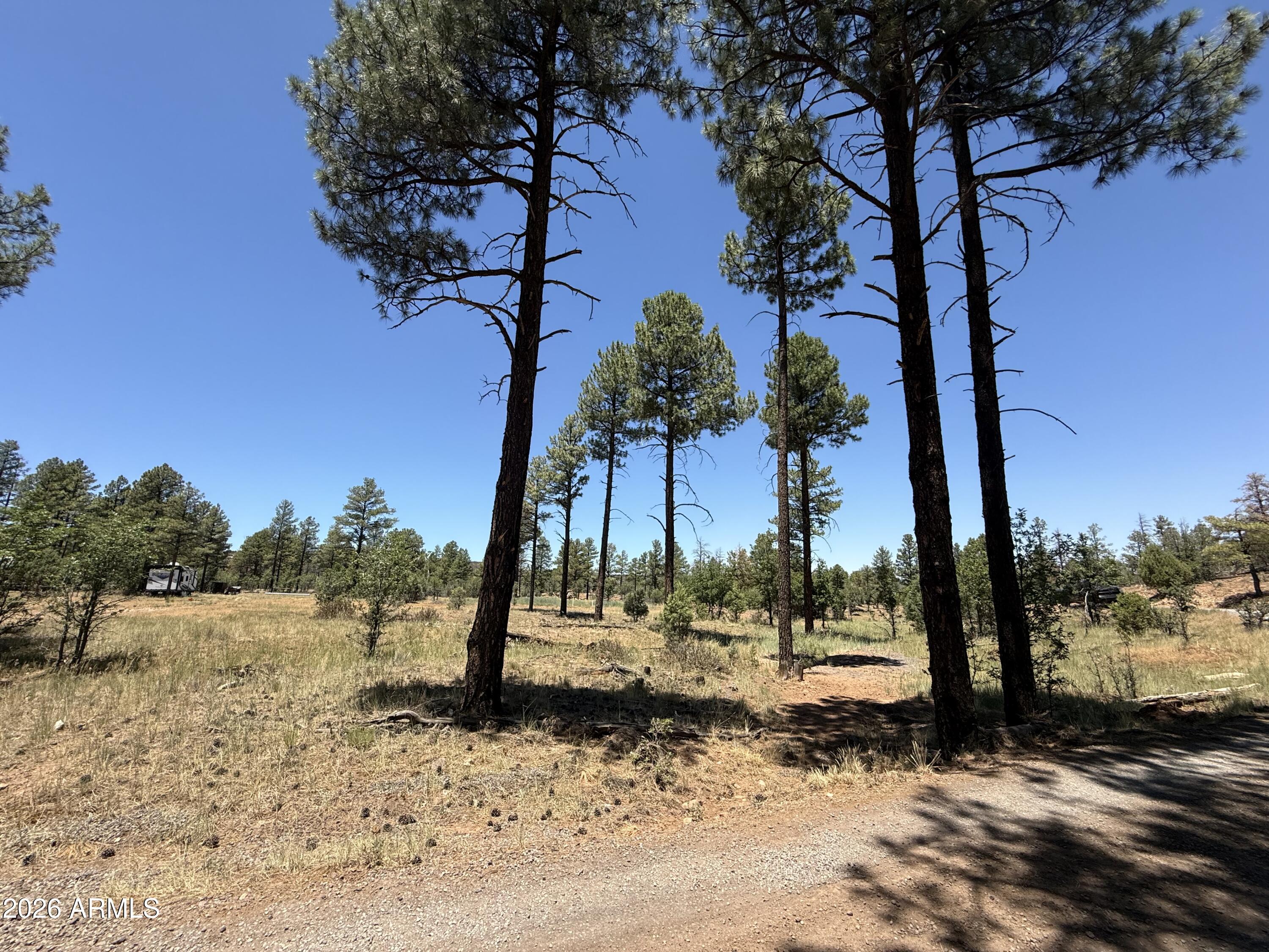 854 E PINE MEADOW Lane -
