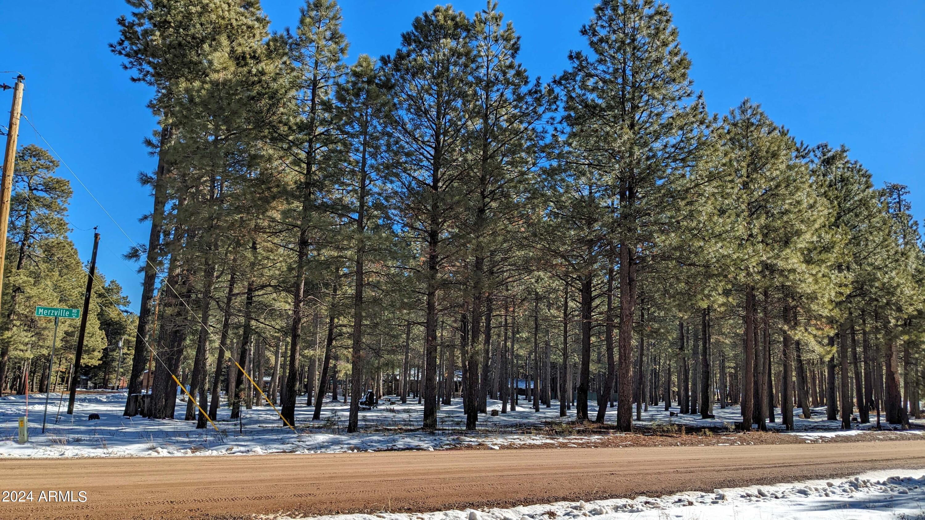 1019 MERZVILLE Road 234